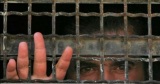 الحرب هي على انجازات أسرى فلسطين - جواد بولس